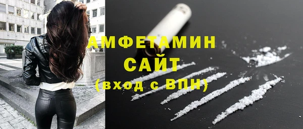 гидра Рославль
