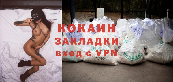 эйфоретик Арсеньев