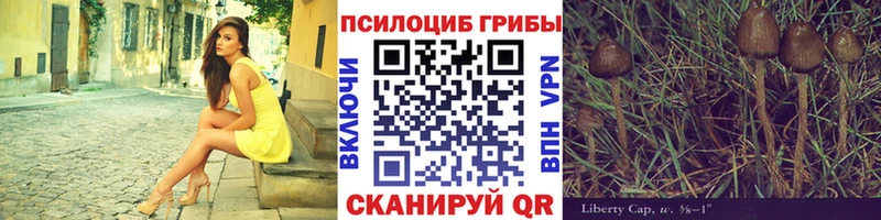 даркнет состав  Верхняя Салда  Галлюциногенные грибы мицелий 